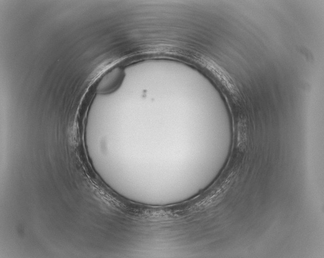 X0000115650876200912011520