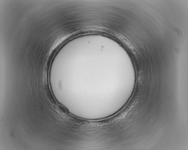 X0000115650877200912011520