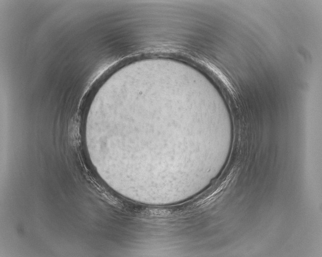 X0000115650878200912011520