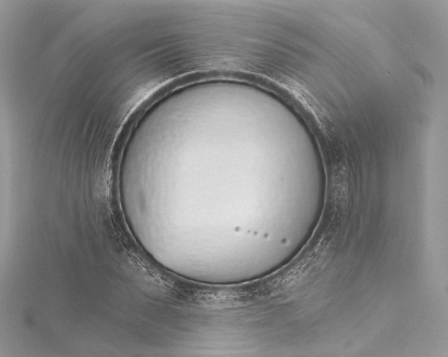 X0000115650879200912011520