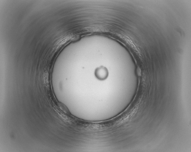 X0000115650881200912011520