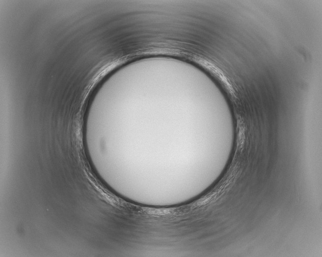 X0000115650882200912011520