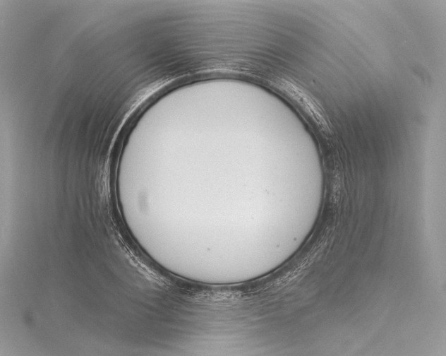 X0000115650884200912011520