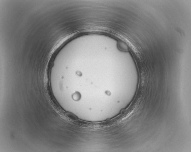 X0000115650885200912011520