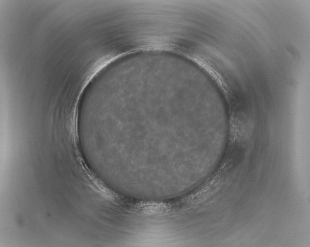 X0000115650886200912011520