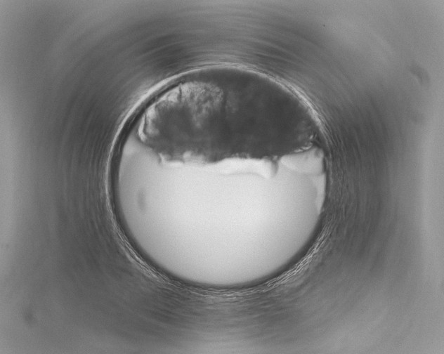 X0000115650887200912011520