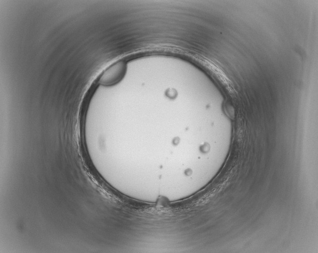 X0000115650888200912011520