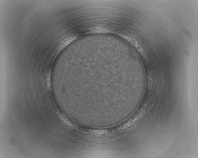 X0000115650889200912011520