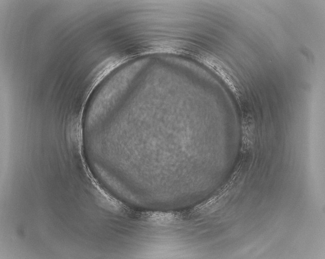 X0000115650890200912011520