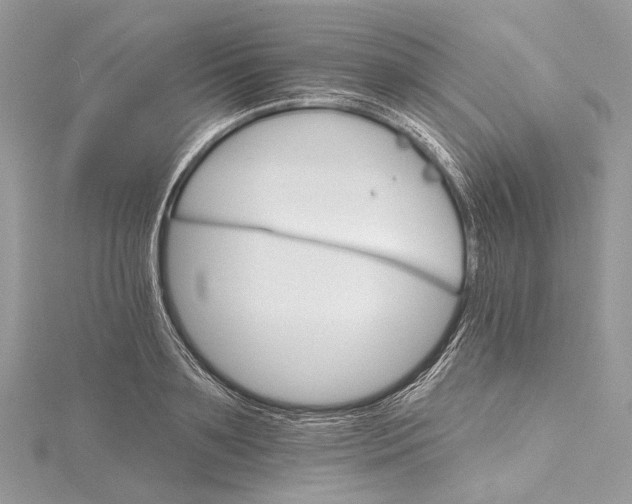 X0000115650891200912011520