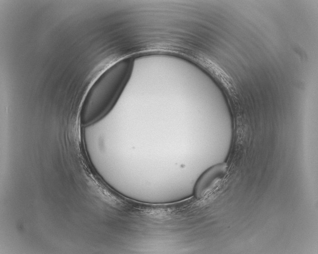 X0000115650892200912011520