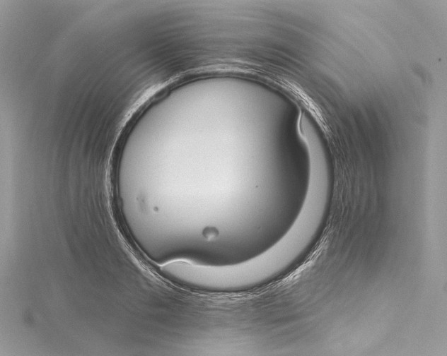 X0000115650893200912011520