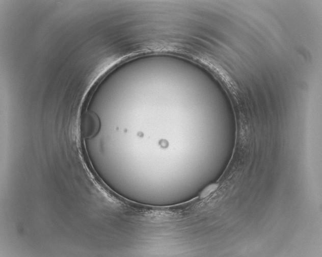 X0000115650894200912011520