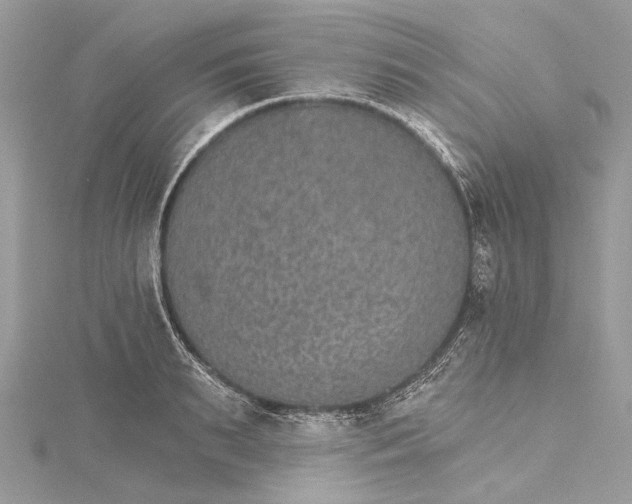 X0000115650895200912011520