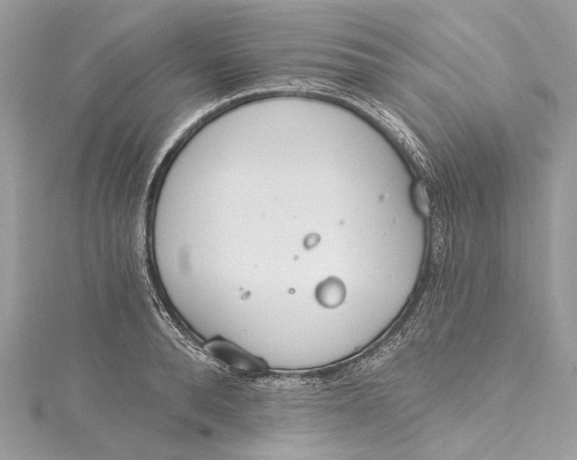 X0000115650896200912011520