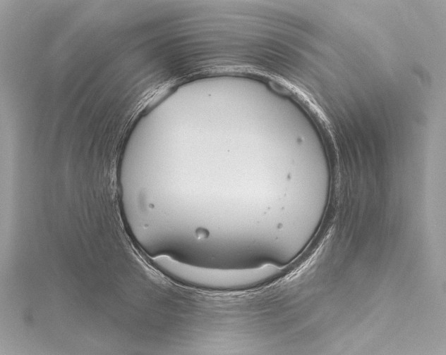 X0000115650897200912011520