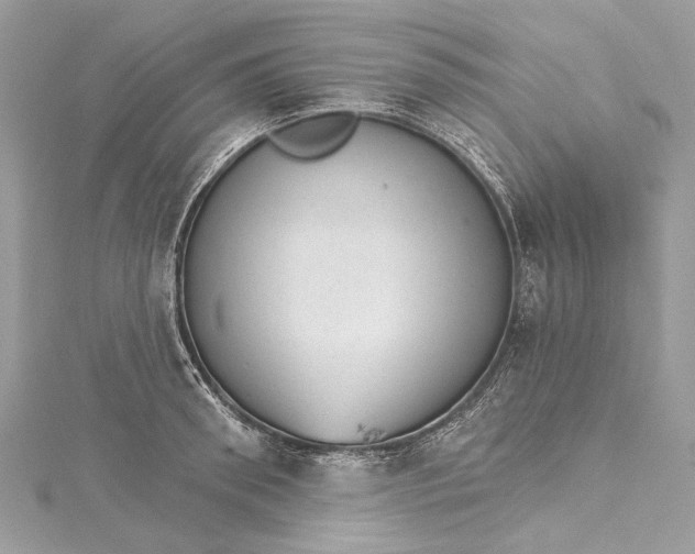 X0000115650898200912011520