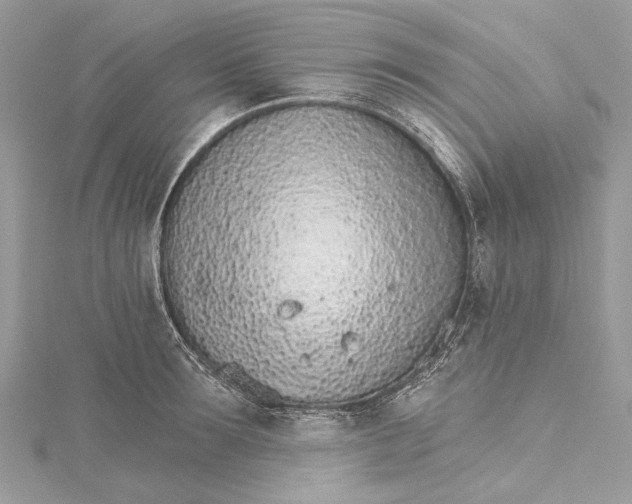 X0000115650899200912011520