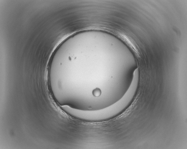 X0000115650900200912011520