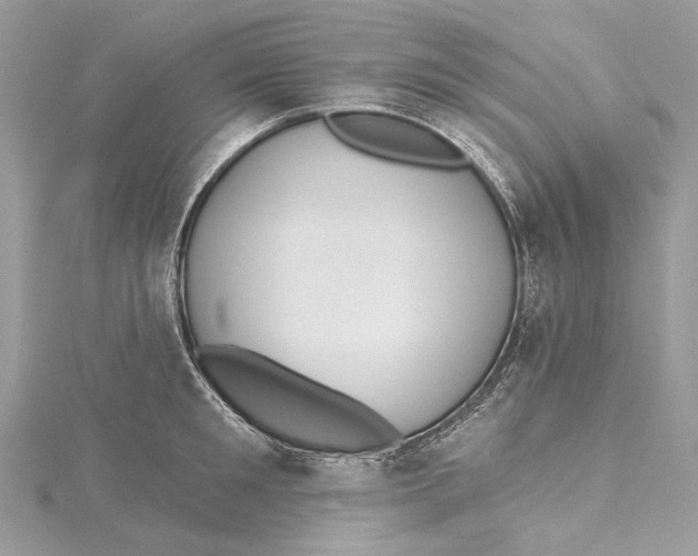 X0000115650901200912011520