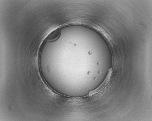 X0000115650902200912011520