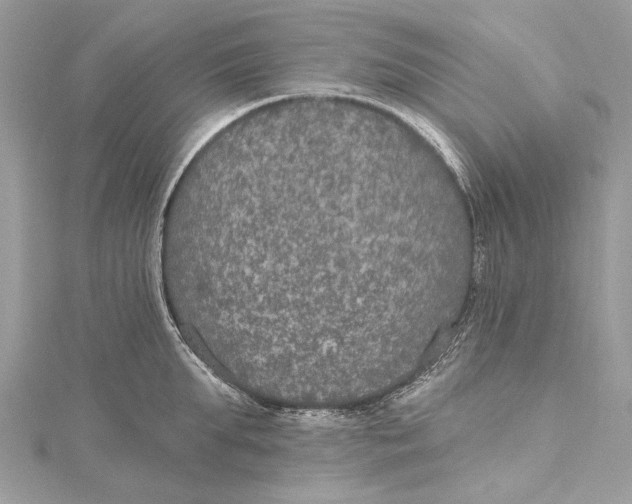 X0000115650903200912011520