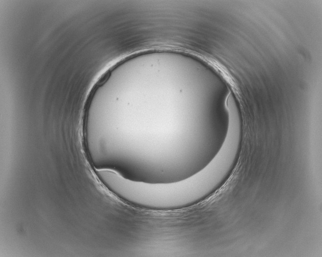 X0000115650904200912011520