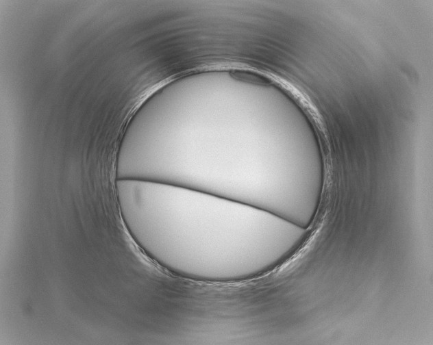 X0000115650905200912011520