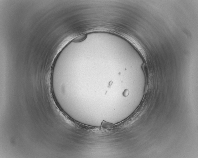 X0000115650906200912011520