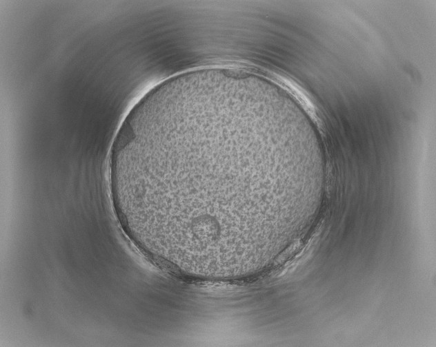 X0000115650907200912011520