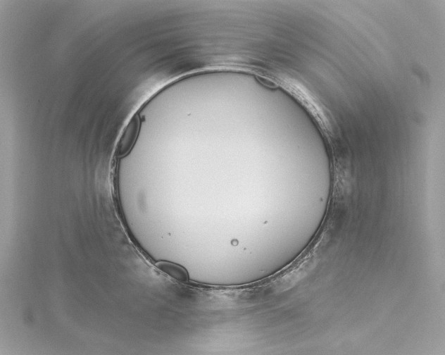 X0000115650908200912011520