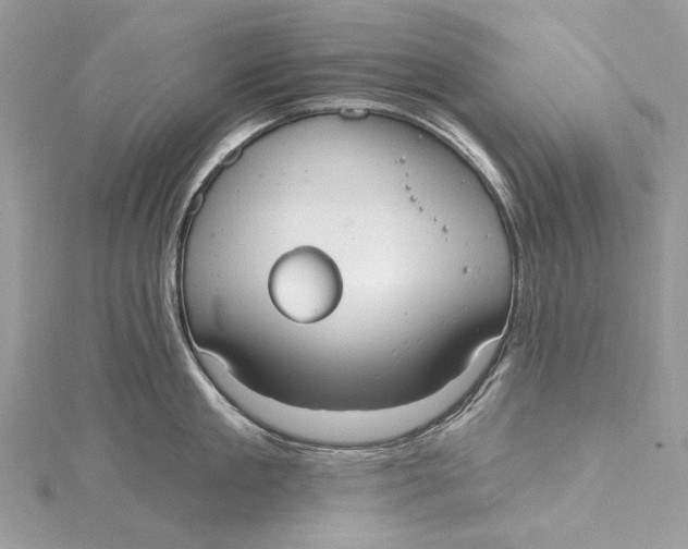 X0000115650909200912011519