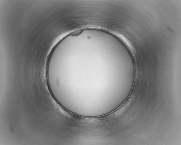 X0000115650910200912011519