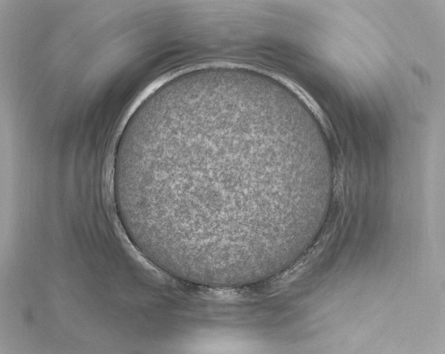 X0000115650911200912011519