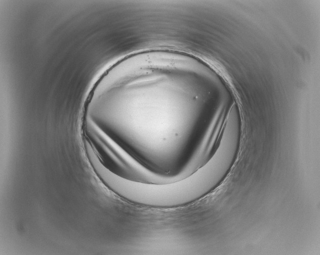 X0000115650912200912011519