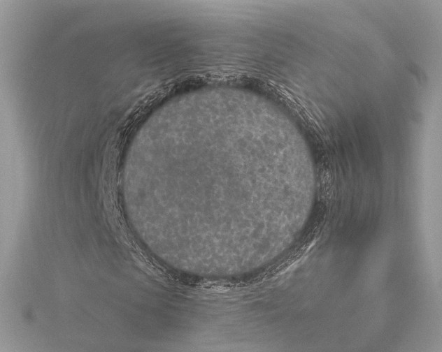 X0000115650913200912011519