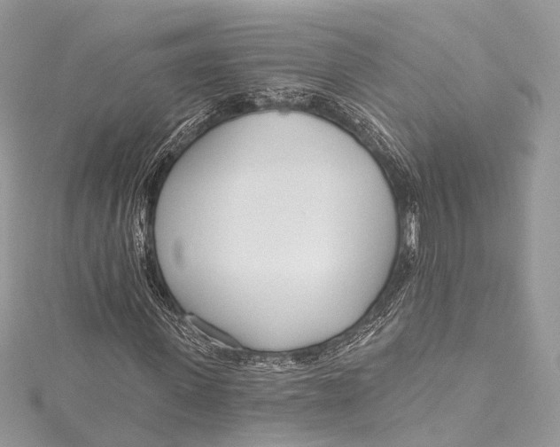 X0000115650915200912011519