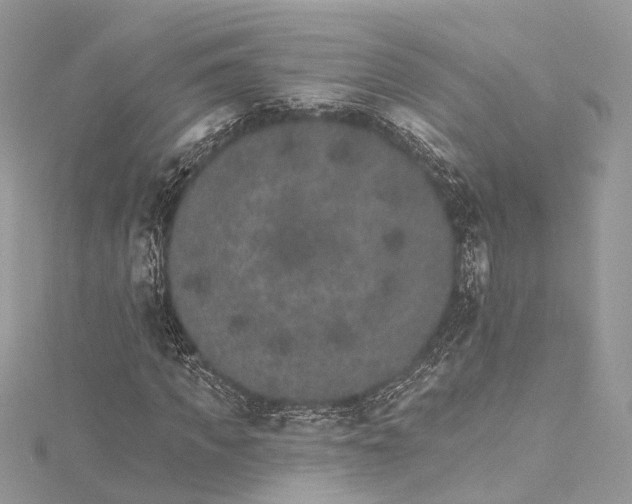 X0000115650917200912011519