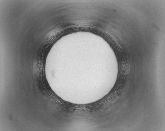 X0000115650918200912011519