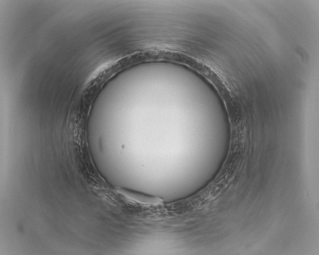 X0000115650919200912011519