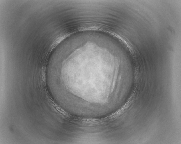 X0000115650921200912011519