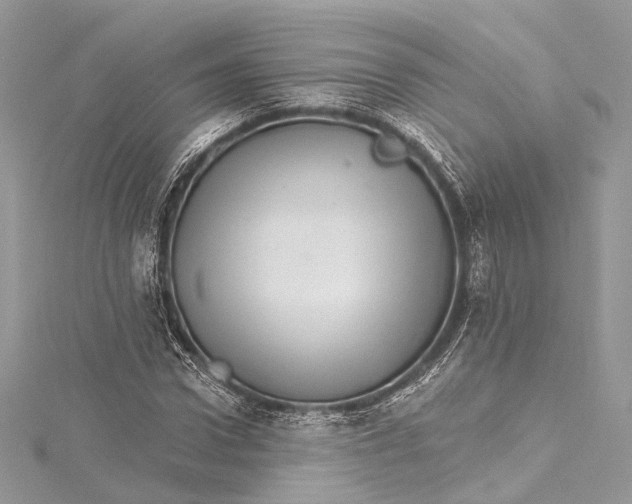 X0000115650922200912011519