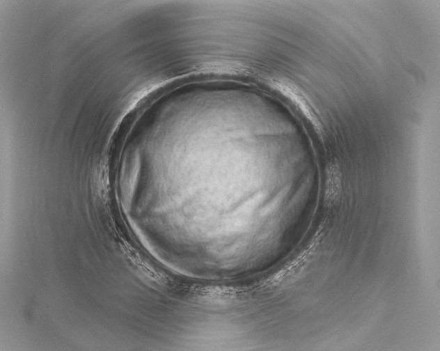 X0000115650923200912011519