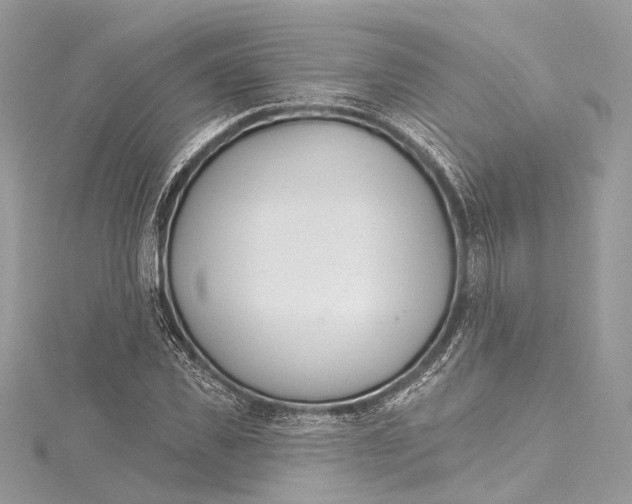 X0000115650925200912011519