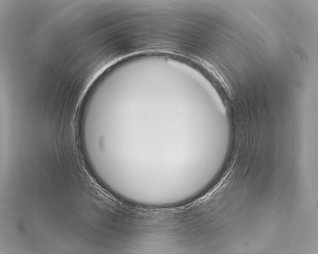 X0000115650926200912011519