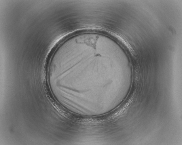 X0000115650927200912011519