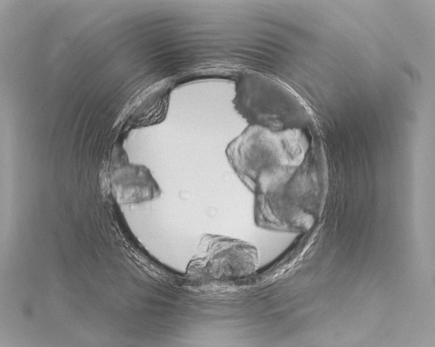 X0000115650929200912011519