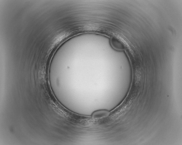 X0000115650930200912011519