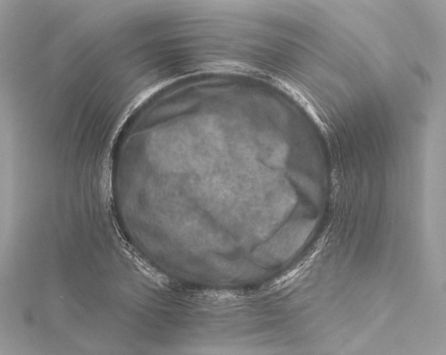 X0000115650931200912011519