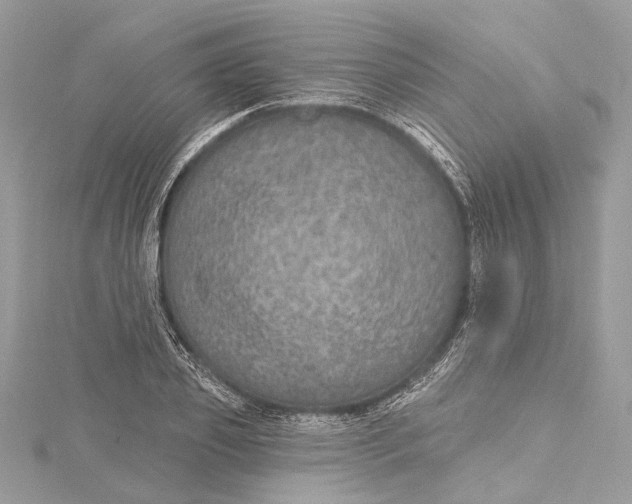 X0000115650933200912011519